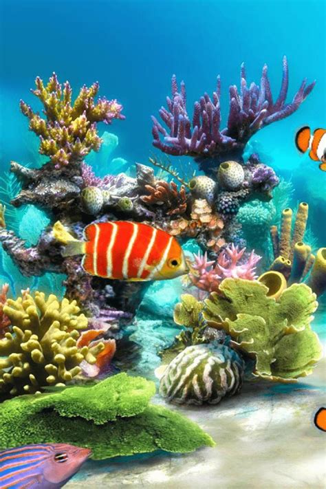 Aquarium Hd Wallpapers For Android Apk Download