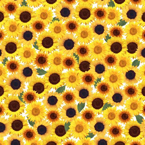 Sunflower fabric,Floral fabric, flower fabric, cotton fabric, knit fabric, fabric by the yard ...