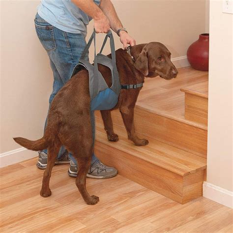 Kurgo Up And About Dog Lifter Support Harness Petflow