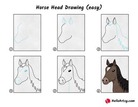 How To Draw A Horse Step By Step