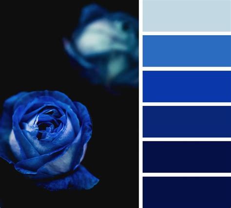 Midnight Blue And Royal Blue Color Scheme Blue Color