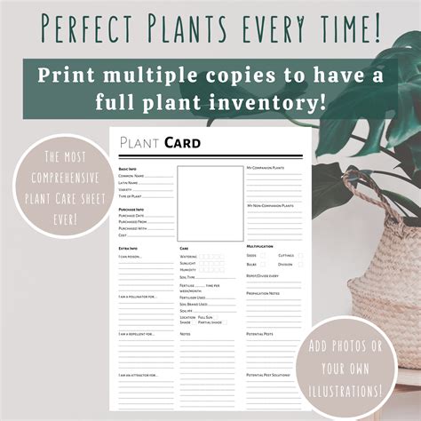 Plant Care Guide Printable Plant Care Sheet Plant Care Etsy