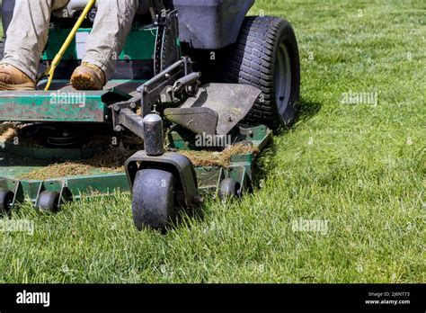 Man Worker Cutting Grass With Lawn Mower Stock Photo Alamy