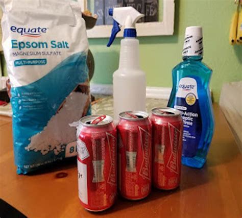 How to Keep Mosquitoes Away With This DIY Spray | Diy sprays, Keeping