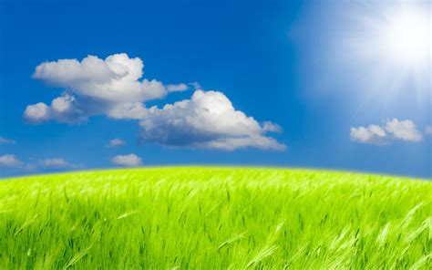 Sky And Grass Background Grass And Sky Wallpaper 71 Images Grass