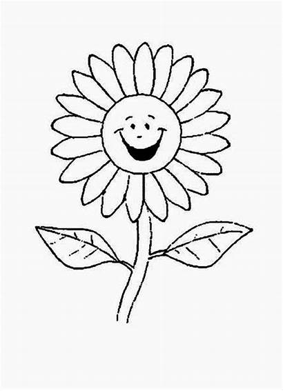 Daisy Coloring Flower Cartoon Sunflower Drawing Laughing