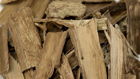 Jamaican Dogwood Bark Manufacturer Jamrow Pioneers Of Truely