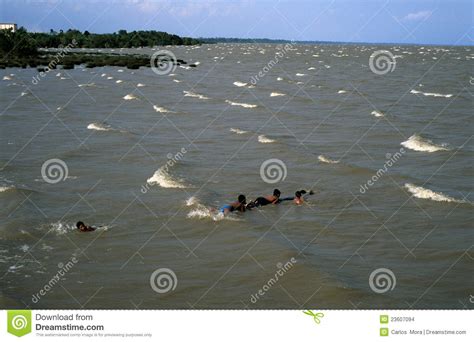 Mouth Of The Amazon River Editorial Stock Image Image Of