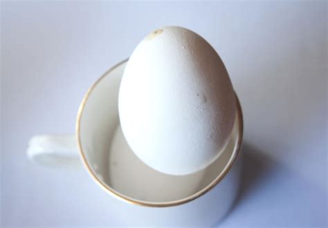 Manfaat masker putih telur bisa membuat kulit wajah lebih sehat dan cantik. Gambar Putih Telur - Rino Gambar
