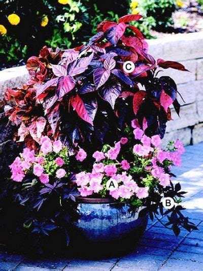 Recipes For Beautiful Container Gardens Gardening Viral