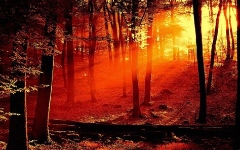 Red Scenery Wallpapers Top Free Red Scenery Backgrounds Wallpaperaccess