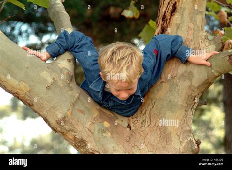 Little Boy Climbing Tree Stock Photo Alamy