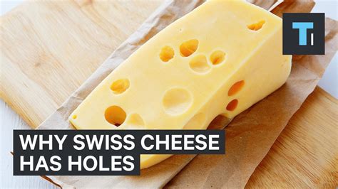 Why Swiss Cheese Has Mysterious Giant Holes Youtube
