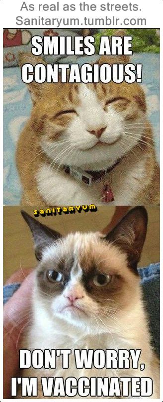Collect The Luxury Funny Grumpy Cat Memes Tumblr Hilarious Pets Pictures