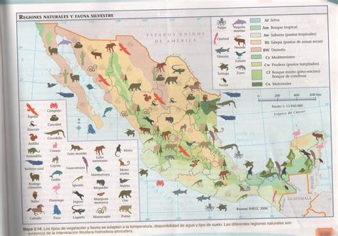 Nyfiken Geográfico Regiones Naturales De MÉxico
