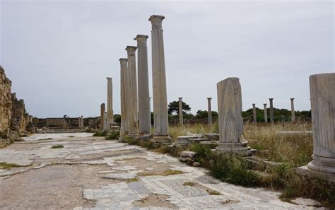 Cyprus Ancientruinsofsalamis The Finer Things