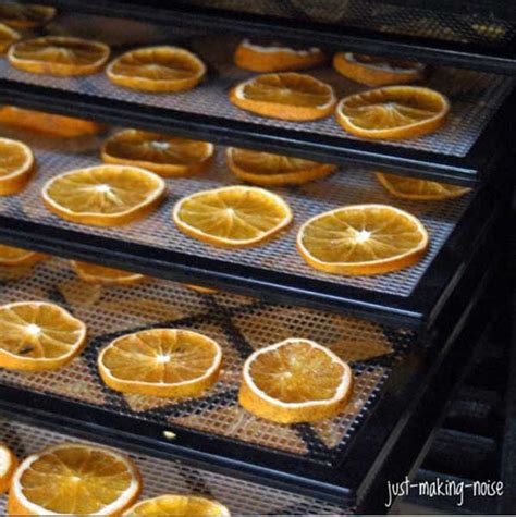 Dehydrating Oranges And How To Use Them The Prepared Page
