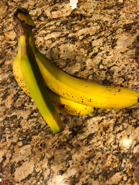 This Square Banana In My Bunch Banana Included For Reference R