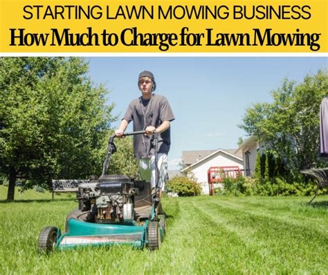 How often should a lawn be mowed? How Much to Charge for Lawn Mowing (How much Can I Make?)