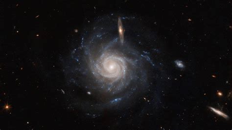 Hubble Spotlights A Swirling Spiral Galaxy Ugc 678 Spaceref