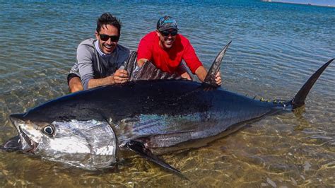 Giant Bluefin Tuna Youtube