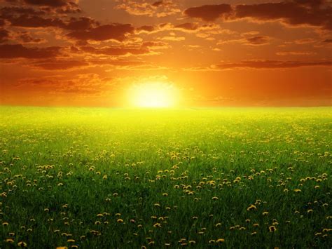 Peaceful Spring Sunset 2560x1600 Wide Wallpapers : Wallpapers13.com