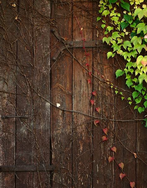 Coffee Brown Vintage Wood Wall For Studio Camera