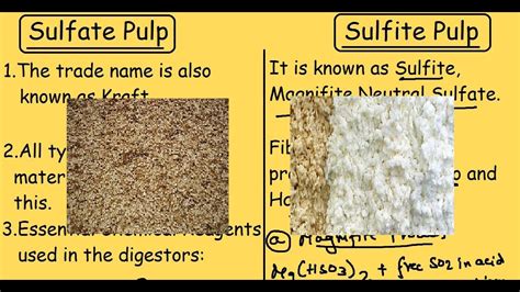 Sulfate Pulp Vs Sulfite Pulp Comparison Of Chemical Pulping Process