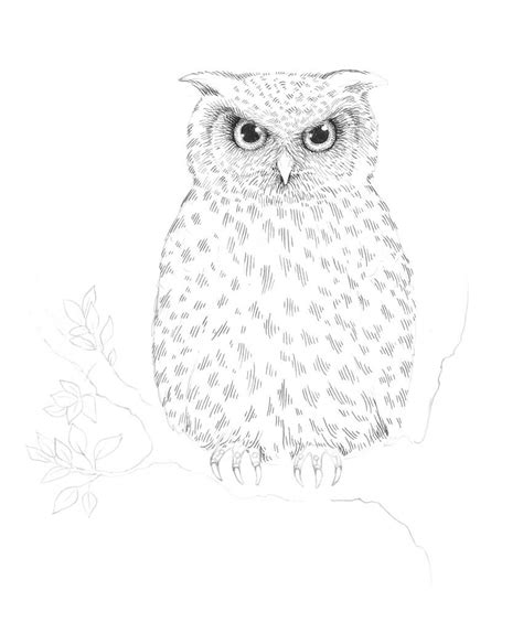 Learn to how to draw an owl easy and cute. Owl Drawing Easy at PaintingValley.com | Explore ...
