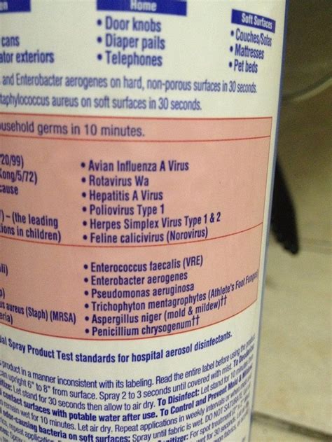 The herpes simplex virus impacts a significant portion of the worldwide population. So this was on the back of a Lysol can. Kills herpes ...