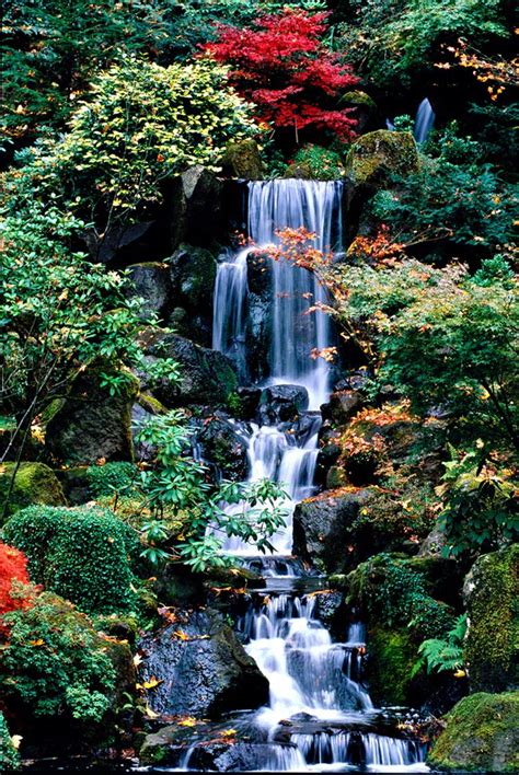 Japanese Gardens Waterfalls Japanese Garden Waterfall Beautiful