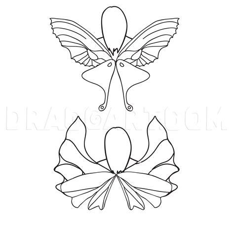 How To Draw Fairy Wings Step By Step Drawing Guide By Corelila