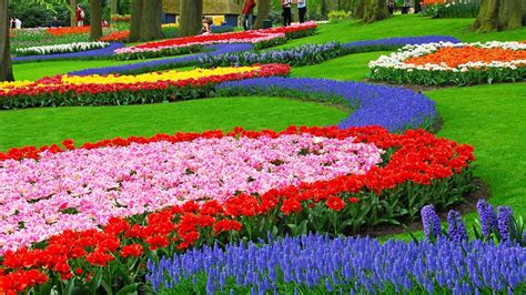 Flower Wallpaper Hd Landscape Flowers Garden Landscape Love