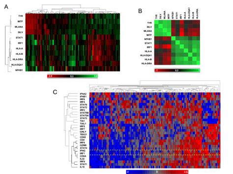 Transcriptional Profiling Of 114 Melanoma Metastases A Self