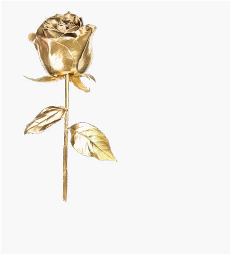Rose Gold Aesthetic Instagram Logo Png Png