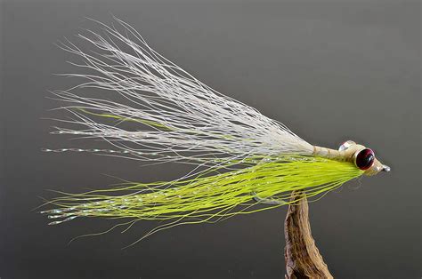 How to TIE a Clouser Minnow Fly (VIDEO) - Fly Fisher Pro