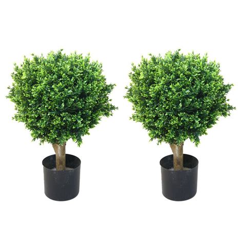 Root systems of trees and shrubs, whether bare root, balled and burlapped, or in a container, are severely reduced or restricted. Romano 2 ft. Hedyotis Topiary Trees (2-Pack)-50-10008-R ...