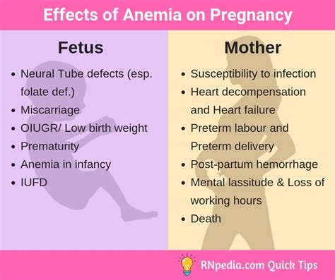Anemia In Pregnancy Nursing Management Rnpedia