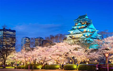 The Best Spots To See Cherry Blossoms Around Osaka Laptrinhx News