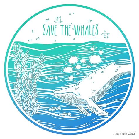 Save The Whales Posters By Hannah Diaz Redbubble