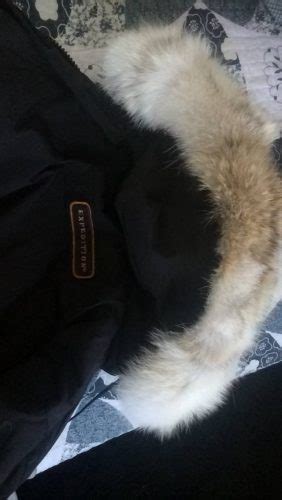 Canada Goose Fur Trim Replacement Collar Replace The Fur On Your Canada Goose