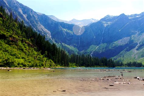Trail Of The Cedarsavalanche Lake Best Hikes In Glacier National Park