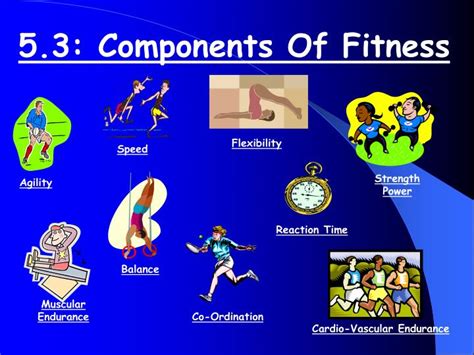Ppt 53 Components Of Fitness Powerpoint Presentation Free Download