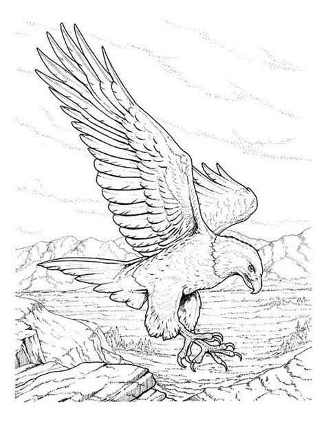 Campfire camping coloring page source : Free Printable Bald Eagle Coloring Pages For Kids