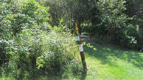 Campsite 20e In Moose Lake State Park Campground At Moose Lake State