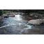 Sewage Contaminated Rivers Gautengs Are Dying  The