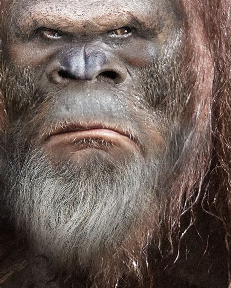 Bigfoot Face | Bigfoot sightings, Bigfoot face, Bigfoot art