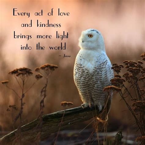 Owl Wisdom Image By Andrea Torres On Faith Owl Quotes Kindness