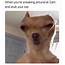 18 Hilarious Animal Memes That Are Nothing But Funny  Animals