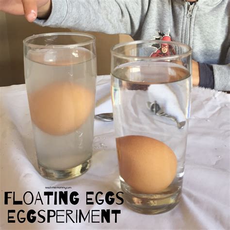 Floating Eggs Experiment Teach Me Mommy